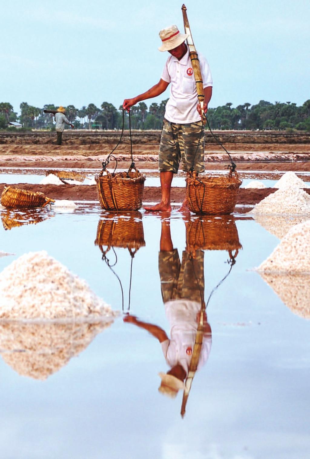 A man harvesting salt in Kampot Province. The Strategy and Action Plan The NESAP is based on what it calls the three Hs, which are essential for achieving balanced and long-term development.