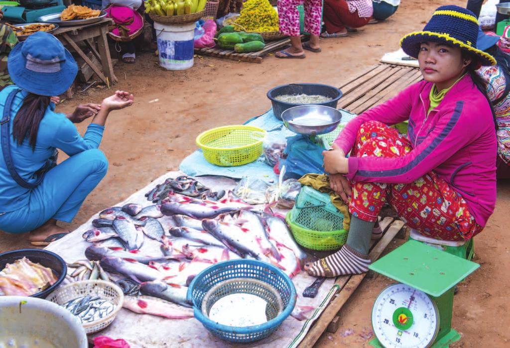 Khmer women selling fish at a local market in the town of Siem Reap. Governance and Management The NESAP details the roles and responsibilities for implementing its action plan.