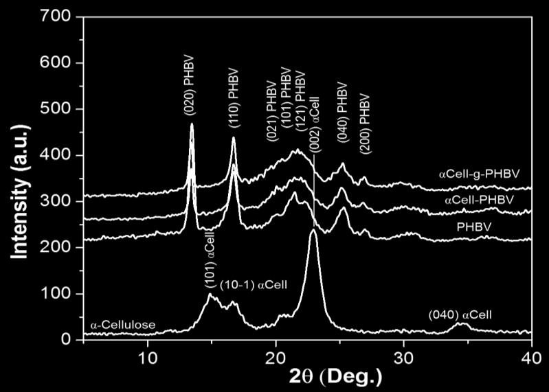 17 /I total Crystal size D hkl = K x λ / (β 1/2 x cosɵ) 250 200 Cellulose PHBV 0.