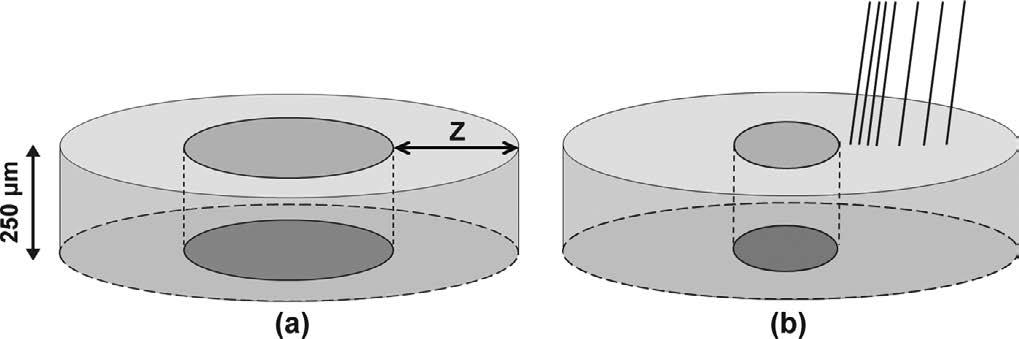 Fig. 1. ontributing parameters to the temperature gradient at the solid/liquid interface in the concentric solidification technique: (a) fraction of solid rim, Z and (b) the beam density.