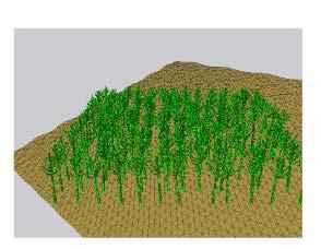 How it works Physical with forest background growing? Indicator: forest above-ground biomass 1.