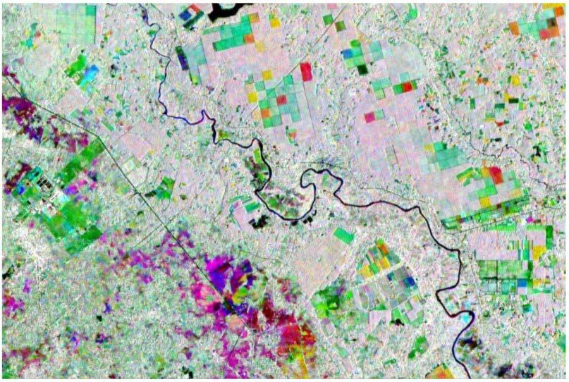 Multitemporal forest monitoring with Sentinel-1 Color composite