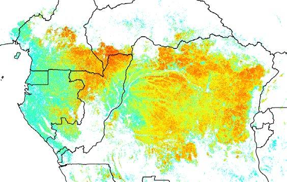 For tropical forests biomass, no dedicated sensors The Congo basin AGB map at 1 km Saatchi et al.
