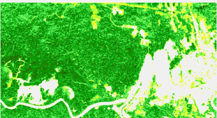 SAR Tomography provides high accuracy biomass maps Ground range [pixel] 7000 6500 6000 5500 5000 4500 4000 3500 3000 2500 2000 Biomass map obtained by inversion power layer