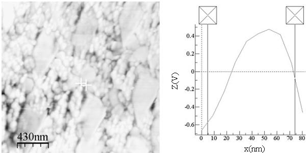 Figure 6 shows the AFM line profile of the bone like apatite formation on yttria stabilized zirconia substrate for 7 days SBF, the particles shape were spherical and measurement of particle size was
