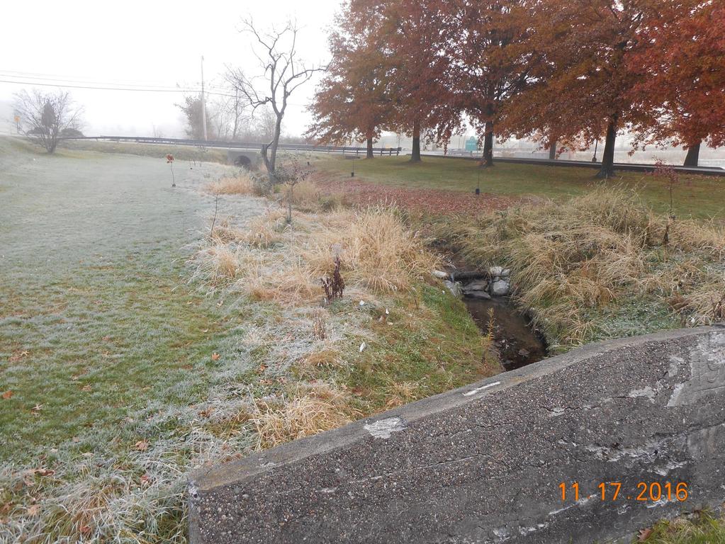 Benefits of a healthy stream buffer: Protects streambanks from erosion Filters pollutants from stormwater