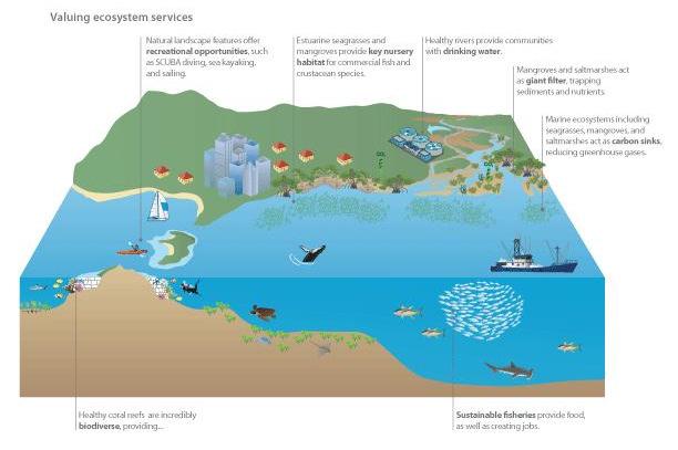 A biologically resilient Straits of Malacca and Singapore means: Healthy, productive and resilient coastal environment