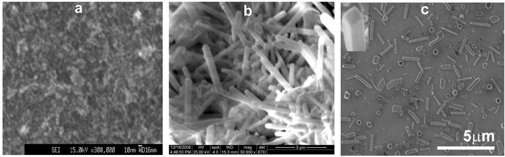 132 SYNTHESIS OF SnO2 NANORODS BY HYDROTHERMAL METHOD... cetyltrimethyl ammonium bromide (CTAB), were observed. It demonstrates that the obtained SnO2 nanorods are pure phase of rutile SnO2. Fig. 3.