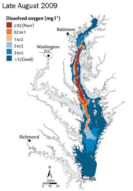 Nutrients Associated with Sediments No Longer Trapped in the Conowingo Reservoir are Influencing Bay WQ