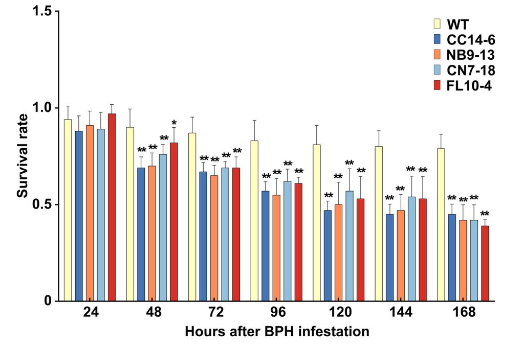 18 19 20 21 22 23 24 25 26 27 28 29 Supplemental Figure 3. BPH survival rate on BPH14- and CC, NB, CN domain-expressing transgenic plants. (Supports Figure 1.