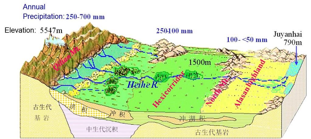 Ecohydrological characteristics of the high altitude