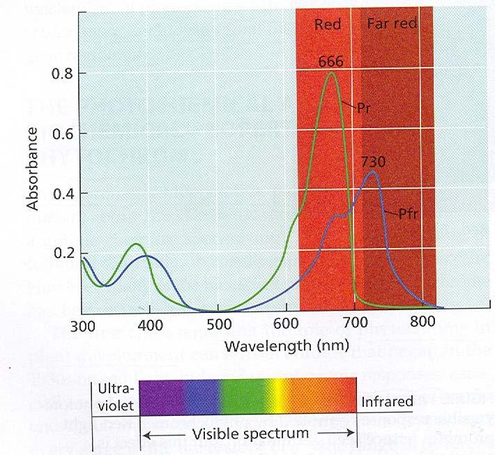 Light Complex & dynamic signal Quantity of light