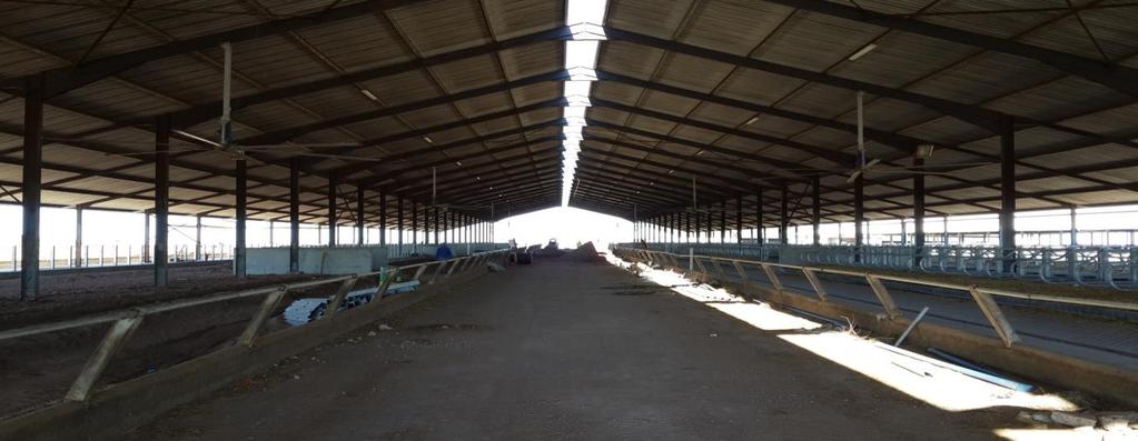 the Uilenkraal dairy farm a large