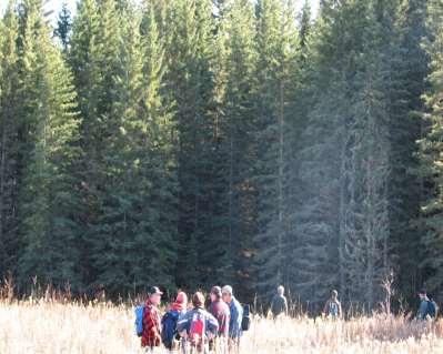 Where biomass may come from- # 2 Private forest woodlots Over 6 million acres of private forest in Alberta Supply