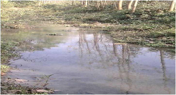 Figure 8: Water at site 4 during monsoon Figure 9: