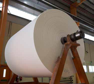 ADNPM provides jumbo rolls for the domestic market and exports.