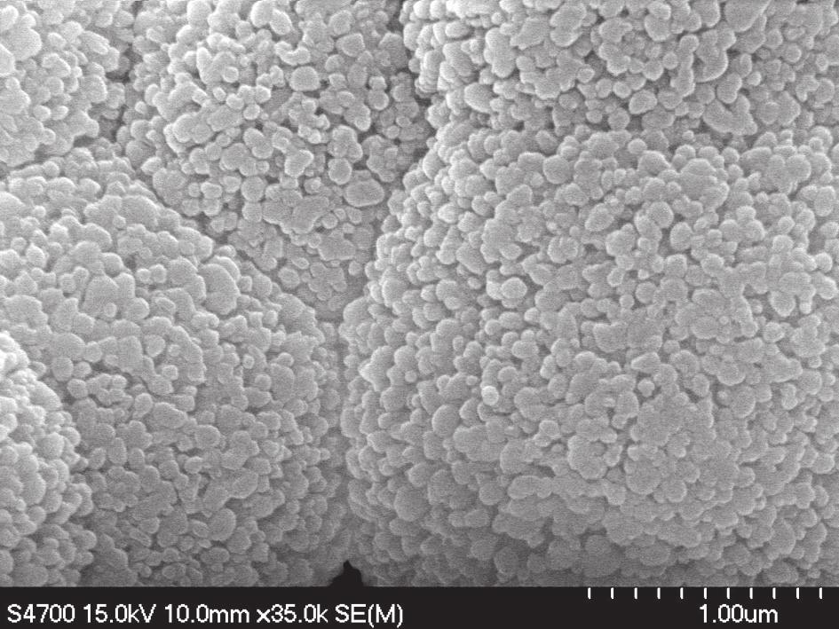 Preparation of leucite-based composites Results and Discussion Leucite powders for dental composites were prepared by hydrothermal synthesis.
