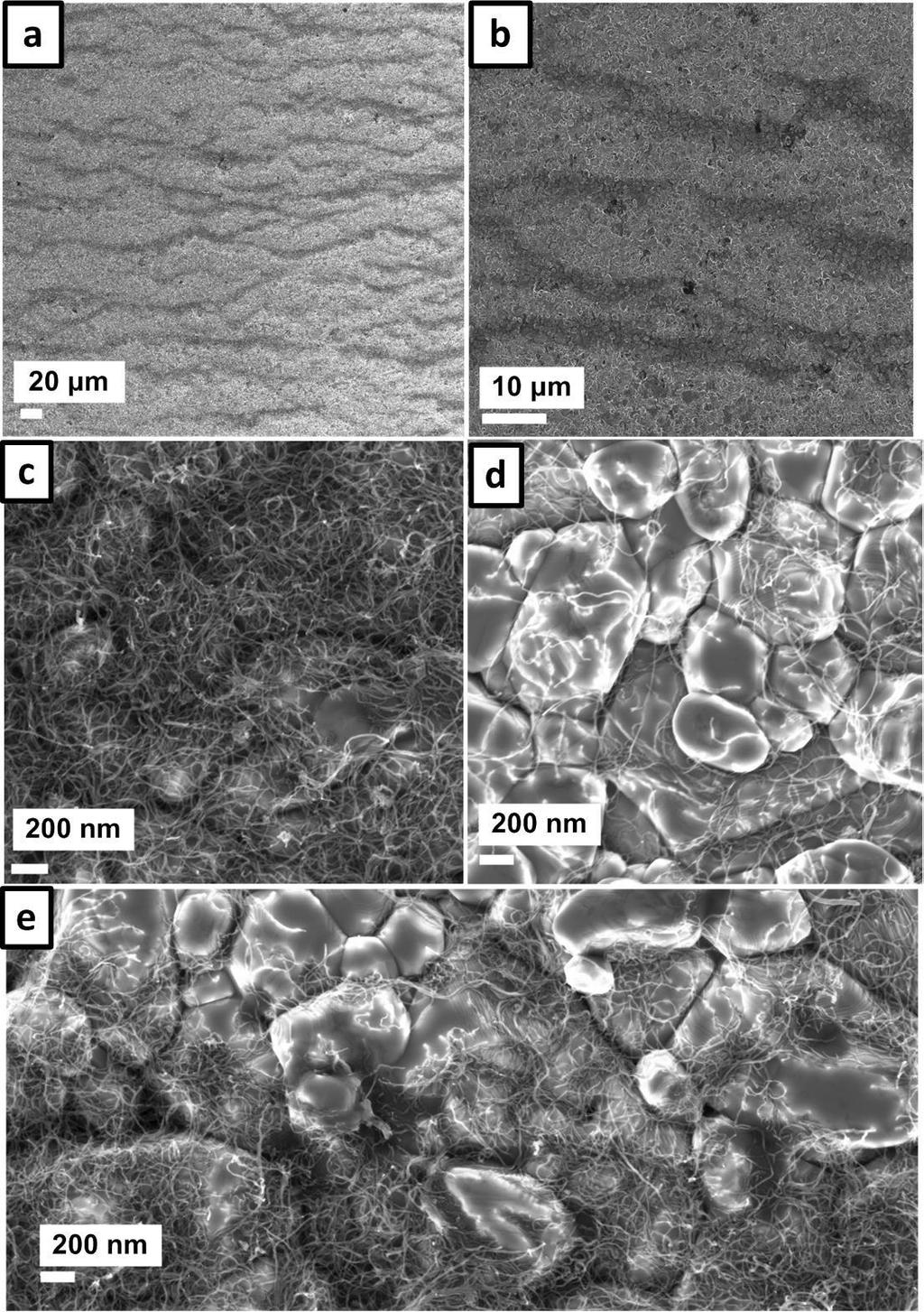 1. SEM images of CNT-n on alumina surface after the EDSA process Figure S1: SEM images of CNT-n dispersed on a Al 2 O 3 substrate at different manifications.