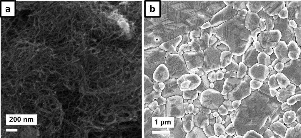 3. SEM images of pristine carbon nanotubes and pristine clean alumina Figure S3: SEM images of a) pristine