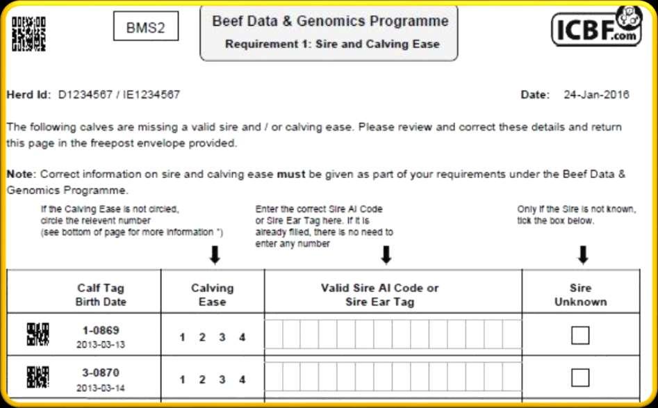 Paper Forms Information Collected Calf Sire Calving Ease Birth Size Vigor (at 5 months)