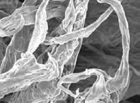 Our natural and synthetic fibers, SYLOTHIX SYLOTHIX, the thixotropic polyethylene (PE) fibers product SYLOTHIX is an