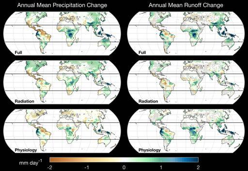Plant-physiological and radiative effects both contribute to mean rainfall changes, but runoff is dominated by physiology Full Radiation Physiology Mean Precipitation Change Mean Runoff Change