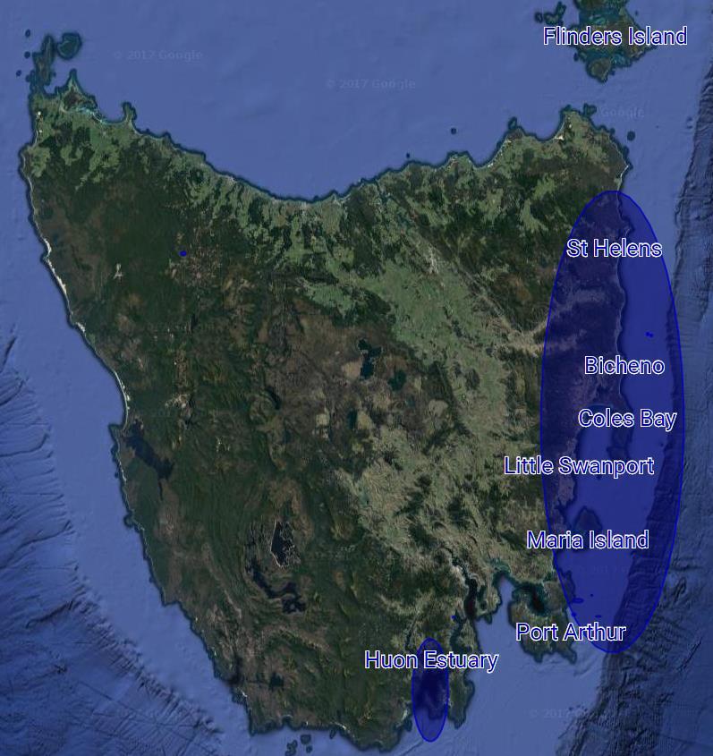 HABs the Tasmanian timeline, 2016-17 June Sept 2016 Another widespread bloom: Preceded by major rainfall event Many shellfish farm closures April June 201, Huon Estuary: Gymnodinium catenatum July