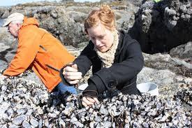 20 000 bivalves foraged each year by Tas residents Foraging by