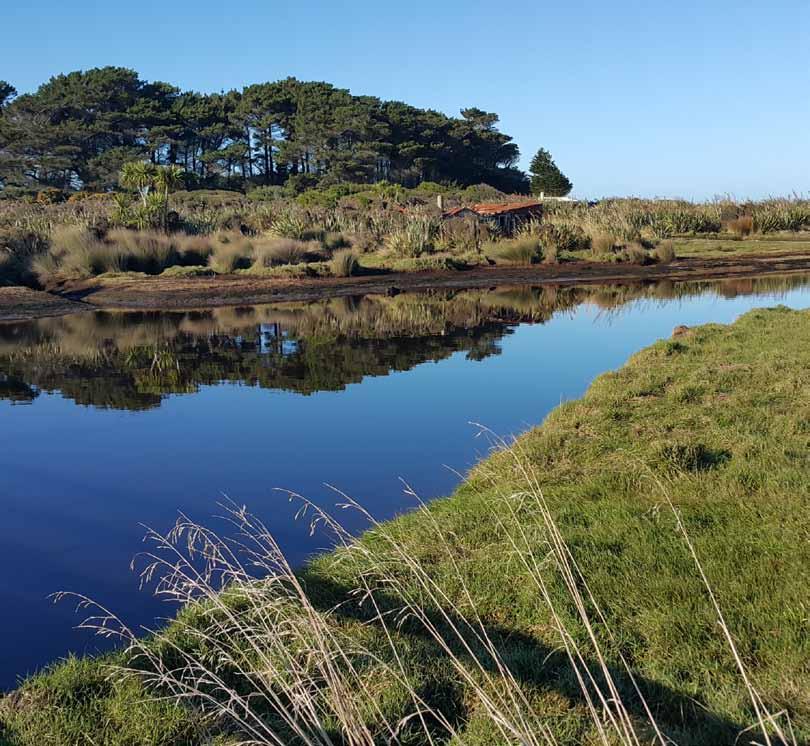 life-force of the Waituna catchment and lagoon,