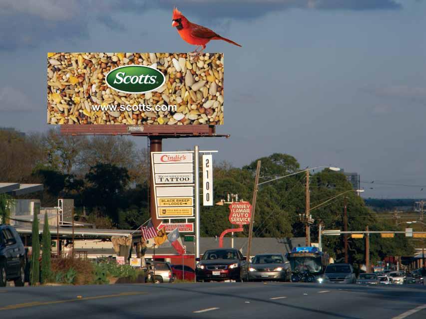 Scotts Scotts is a brand that manufactures a variety of birdseed along with other gardening and