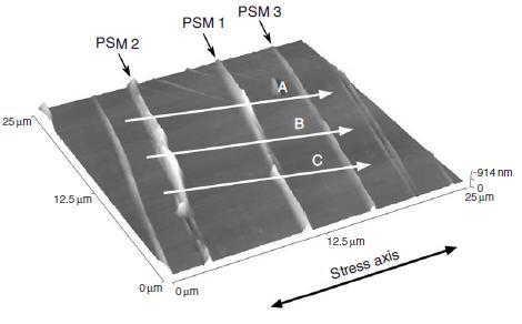 Figure 12 - Surface of Polycrystalline 316L Stainless Steel Showing Persistant Slip Markings (Polák, 2007) Figure 13 - Depth of Extrusion and Intrusions vs Number of Cycles for 316L Stainless Steel ε