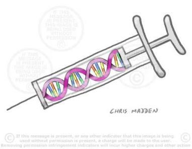 8.6 Gene Therapy Gene therapy is
