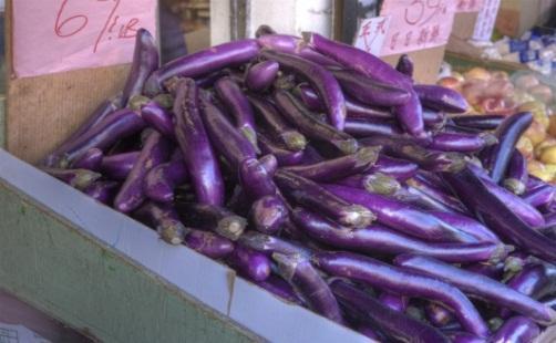 com) Eggplant Belongs to Solanaceae, the