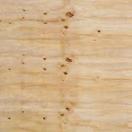 TRP is an excellent substitute for tropical plywood in most