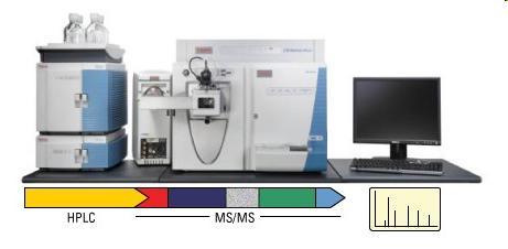 LIQUID CHROMATOGRAPHY COUPLED TO TANDEM MASS SPECTROMETRY (LC-MS/MS) IS THE GOLD STANDARD