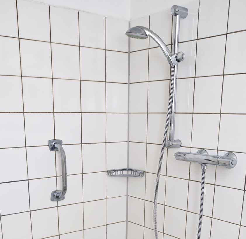 Poor fixing and grouting can also provide multiple areas for bacteria growth. There s no grout involved in our products and the finish leaves dirt and bacteria nowhere to hide.