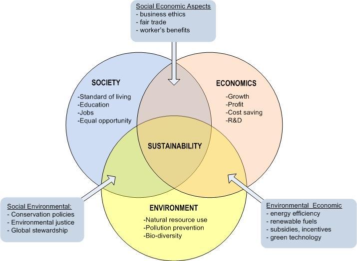 APPENDIX 2 The Principles of Sustainability A sustainable approach to reducing carbon emissions is one that considers the connections which exist among environmental, social, and economic rings.