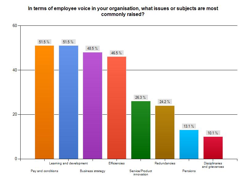 We asked respondents what subjects or issues were most commonly raised through employee voice in their organisation.