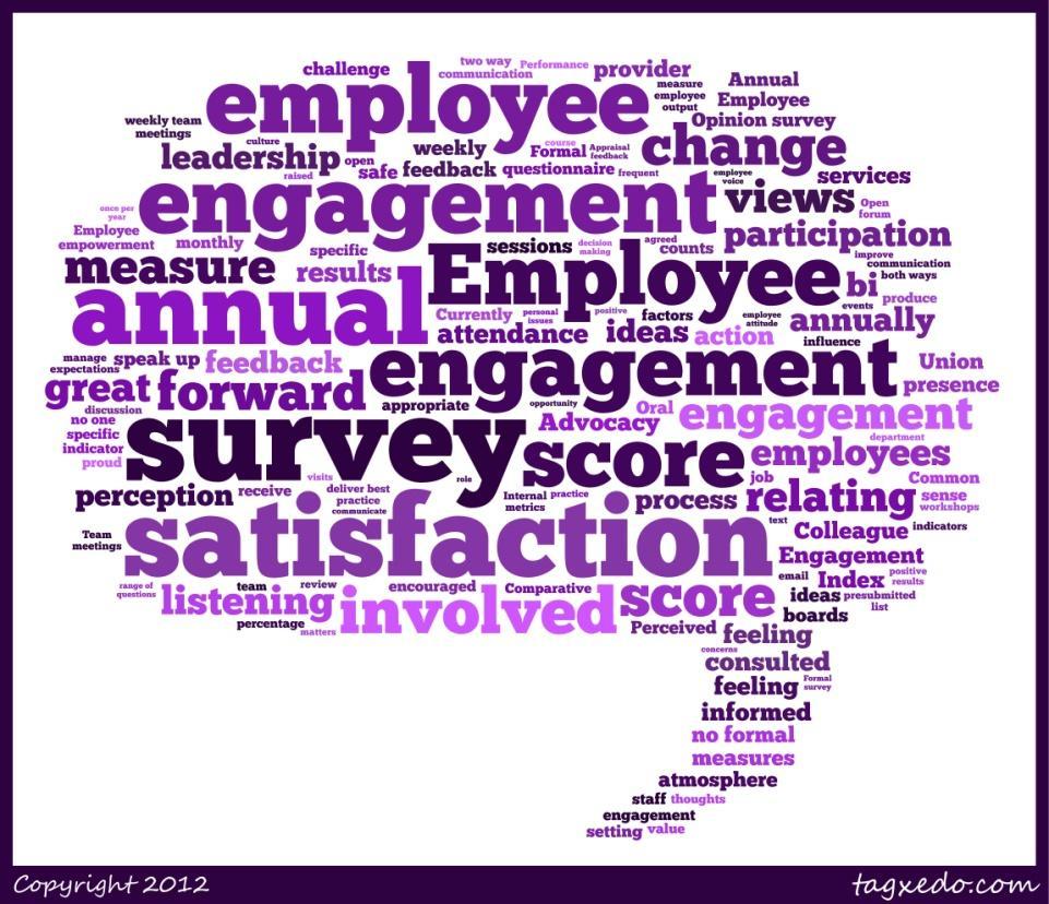 Measuring and analysing voice We asked respondents what question or indicator they used that best measured voice and the most common response referred to staff surveys (or similar) as being the best