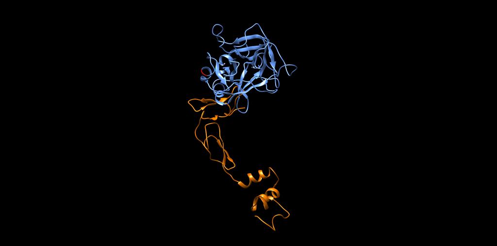 Hyperactive mutant proteins AMT-060 LP1 promoter SV40 intron hfixco PolyA 1 ~ 2.