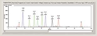 Fragument Analysis フラグメント解析 遺伝子の多型解析に多用されるフラグメント解析 高い精度