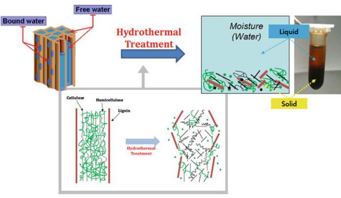 Hydrothermal treatment breaks the physical and chemical structure in the materials such as cellulose, hemicellulose, and lignin, and these biomasses are broken down into smaller and simpler