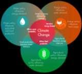 Water-Food- Energy-Climate Change Equity and Sustainability