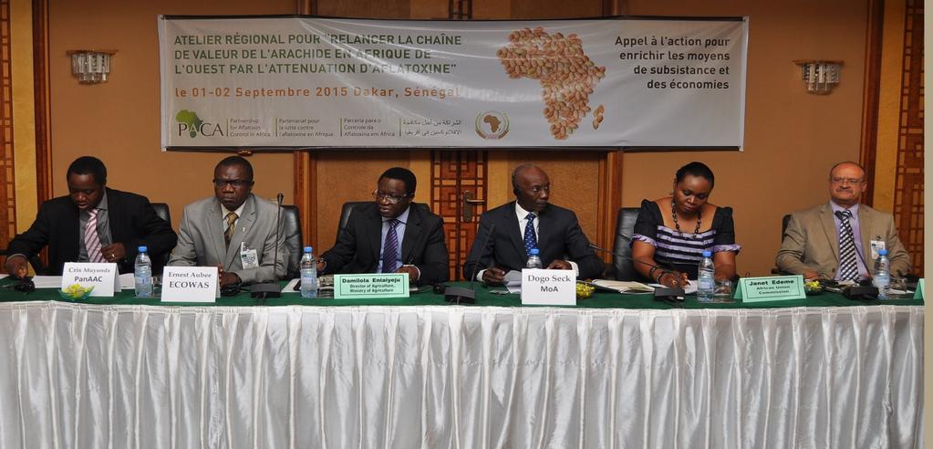P A G E 2 Stakeholders Identified Concrete Actions to Revive the Groundnut Value Chain of West Africa through Aflatoxin Mitigation groundnut sector went into disarray due to multiple reasons but the