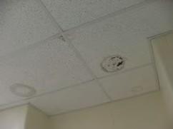 Moldy ceiling tile in