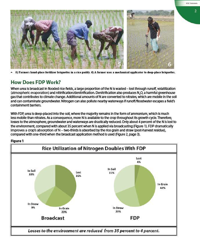 Bangladesh: Fertilizer
