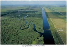 straight channel restored to a meander Everglades Since 1900, urban development, much of the Everglades drained One of the