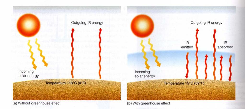 The Importance of the Greenhouse Effect The presence of the gases in our atmosphere that absorb and emit infrared