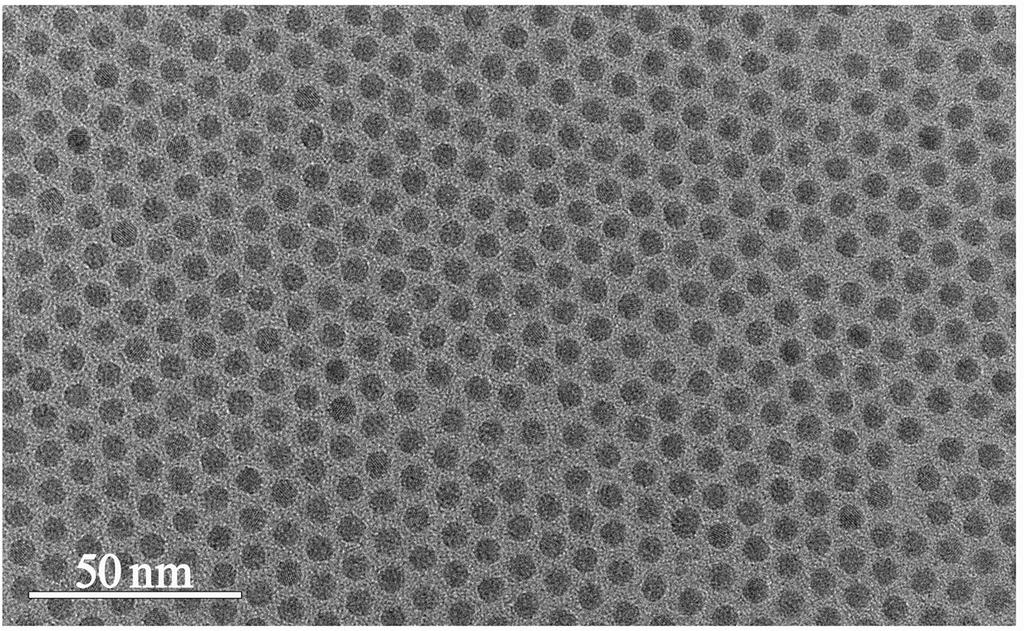 Figure S8. Large scale TEM image of β-nagdf 4 :Yb/Er prepared by using nano-sized NaF based solvothermal strategy and reacting at 300 C for 20 min.