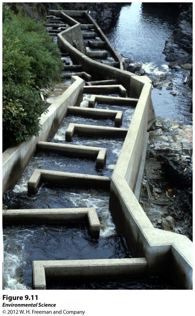 Altering the Availability of Water Dams- a barrier that runs across a river or stream to control the flow of water. Water stored behind the dam in a reservoir.